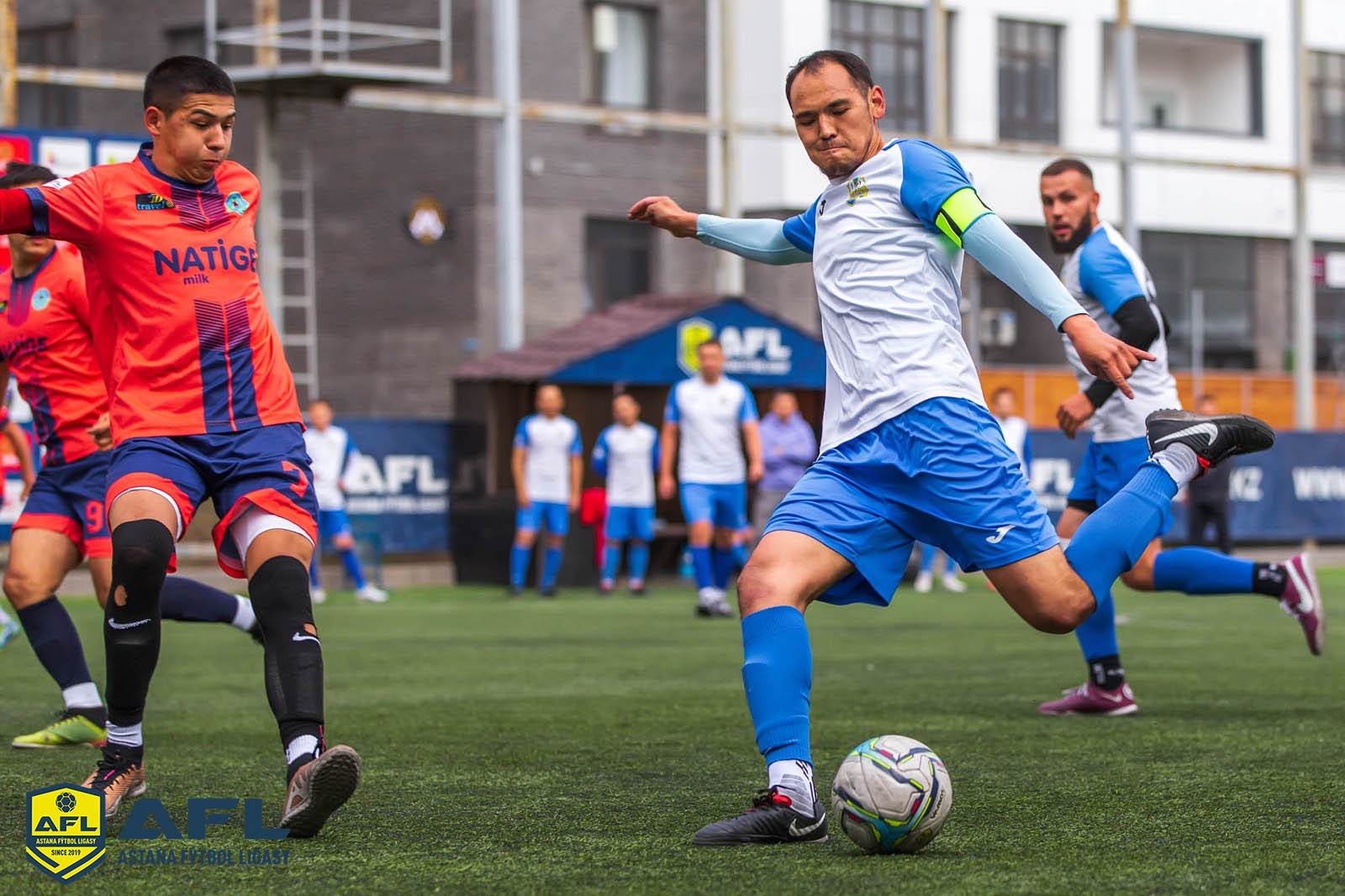 IMG 9951
