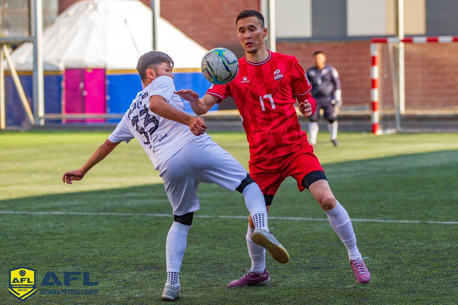 IMG 6652