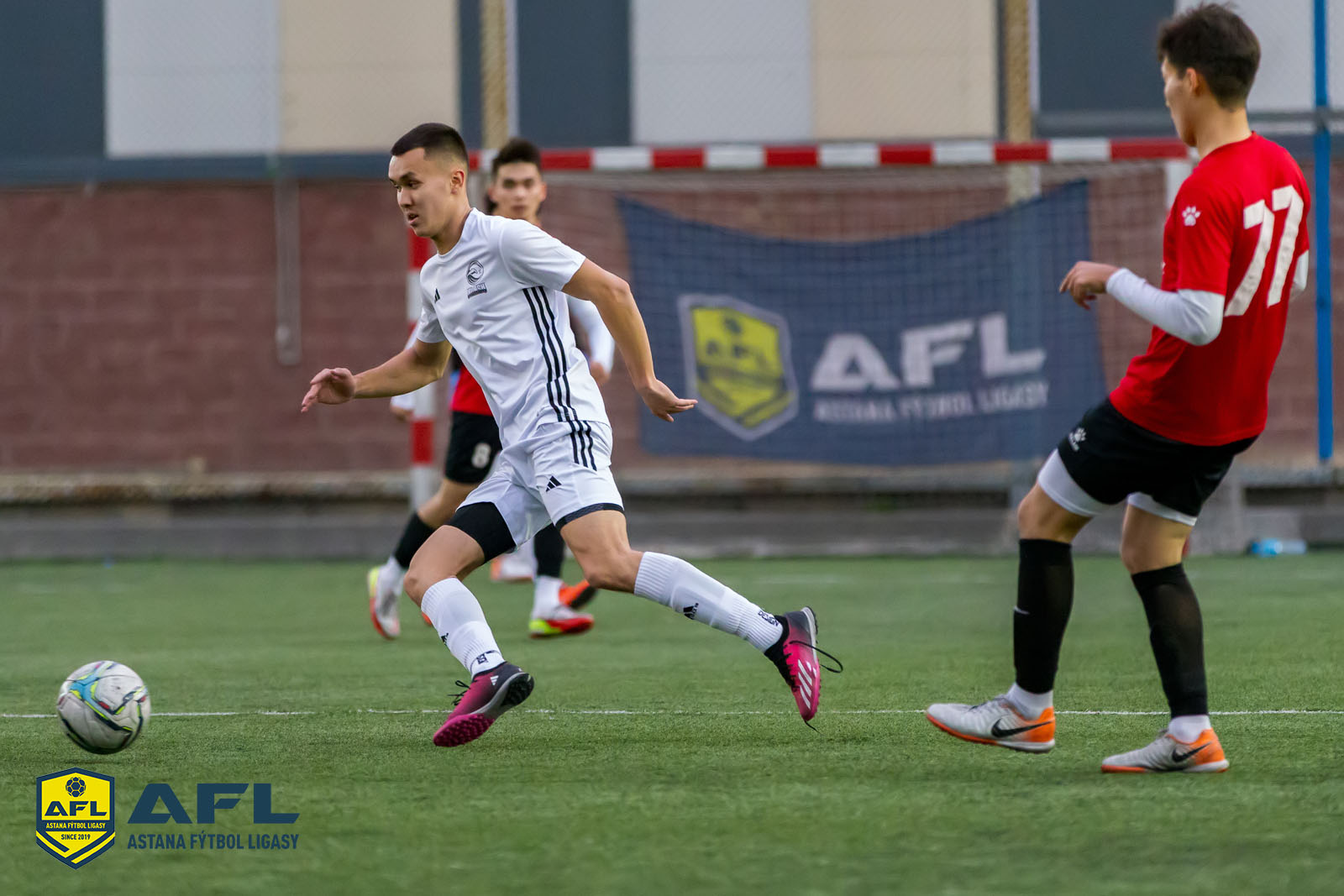 IMG 5768