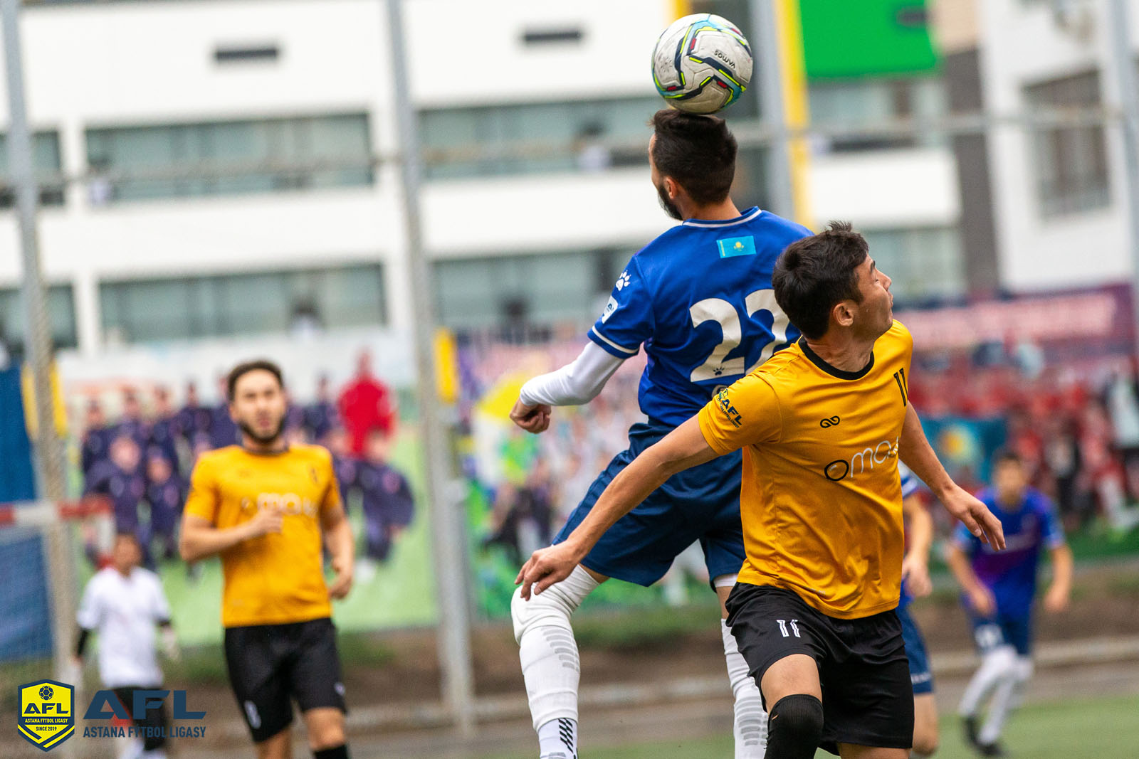 IMG 4512