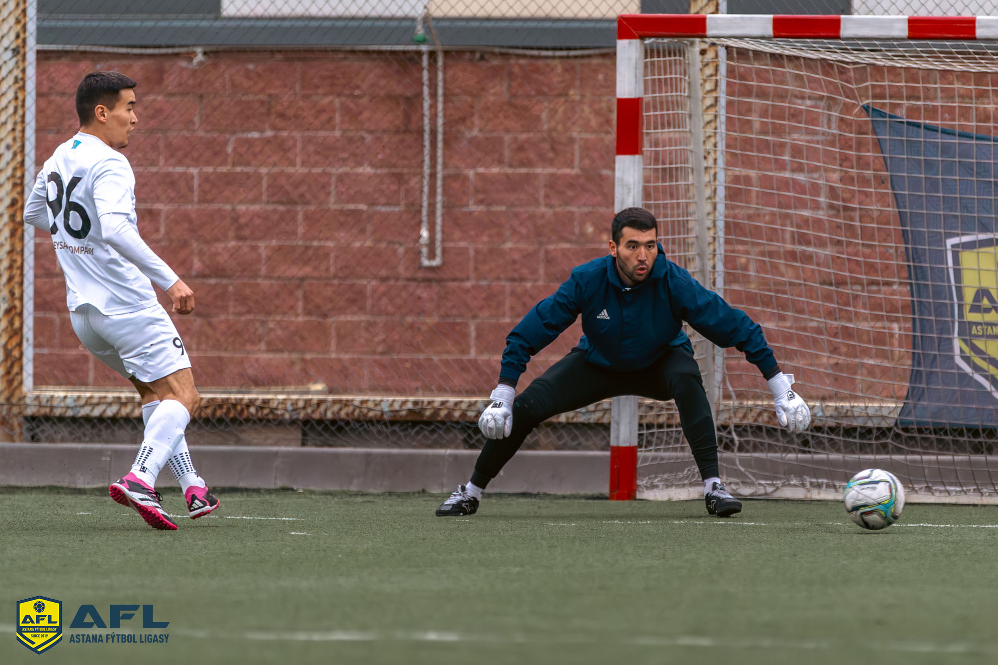 IMG 3023 Enhanced NR