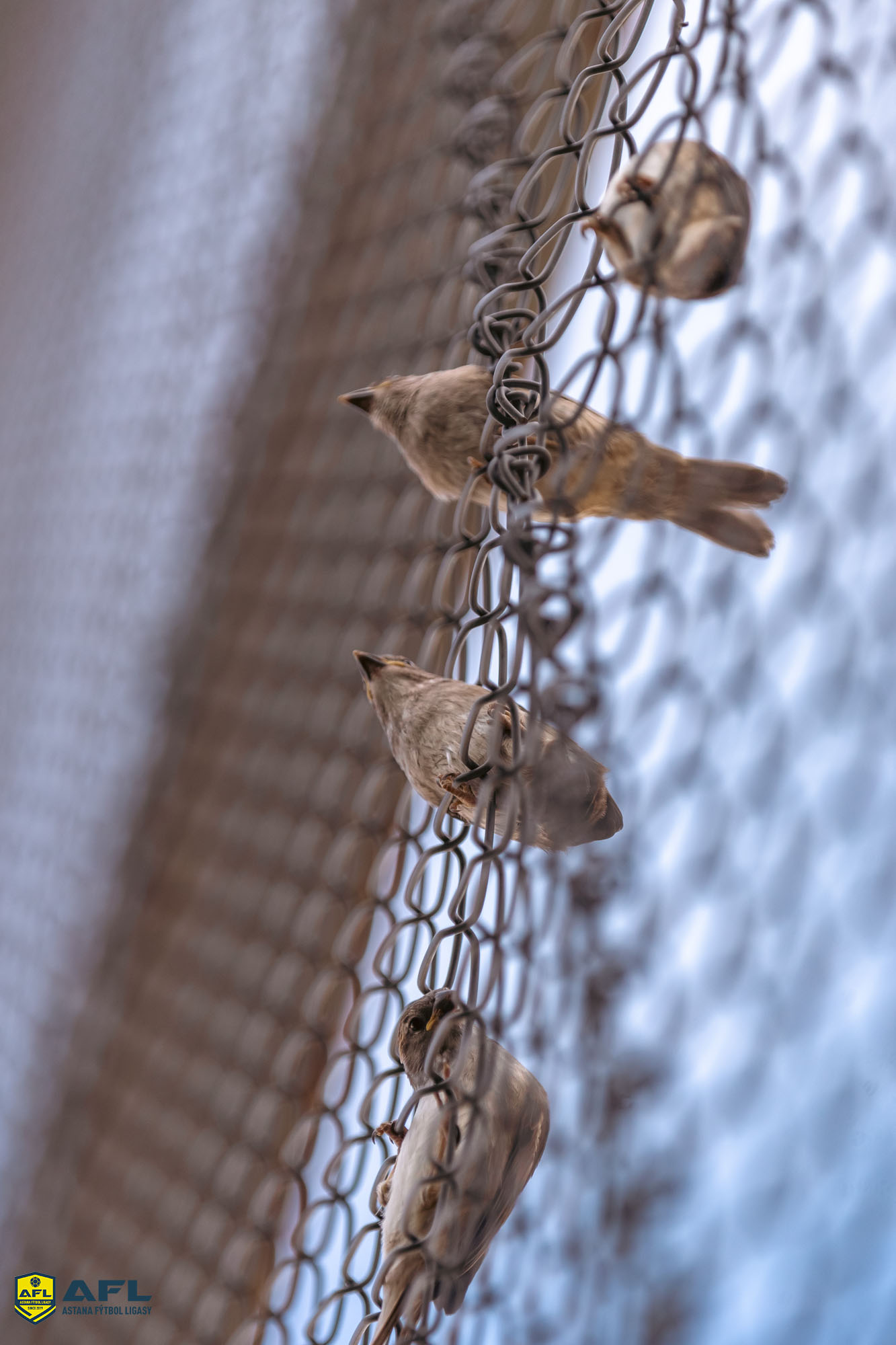IMG 6761