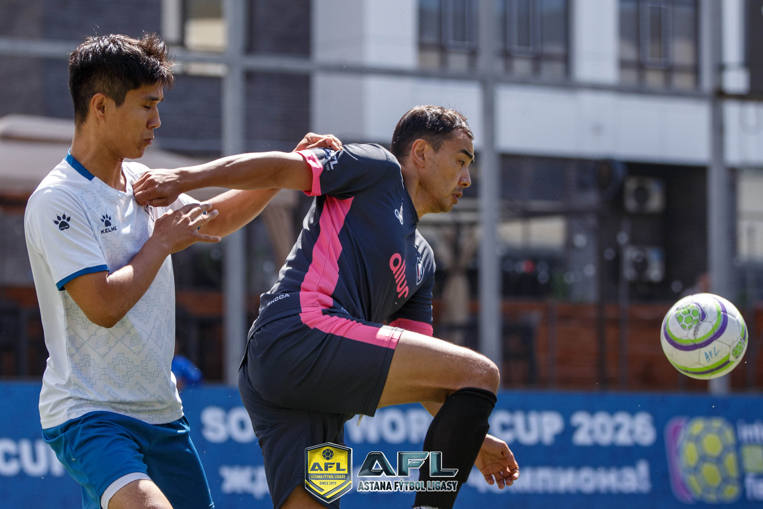 IMG 2718