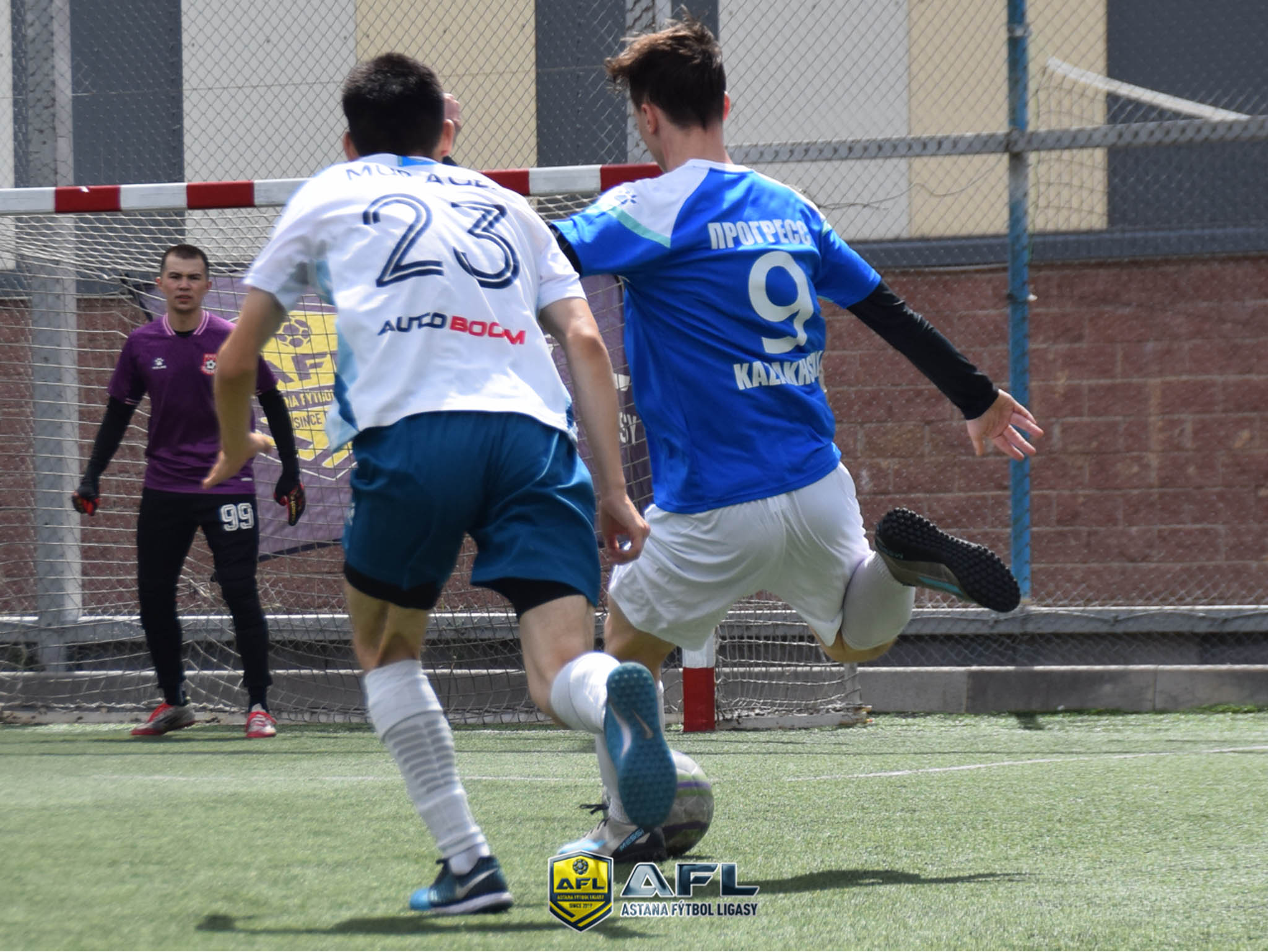 IMG 8174