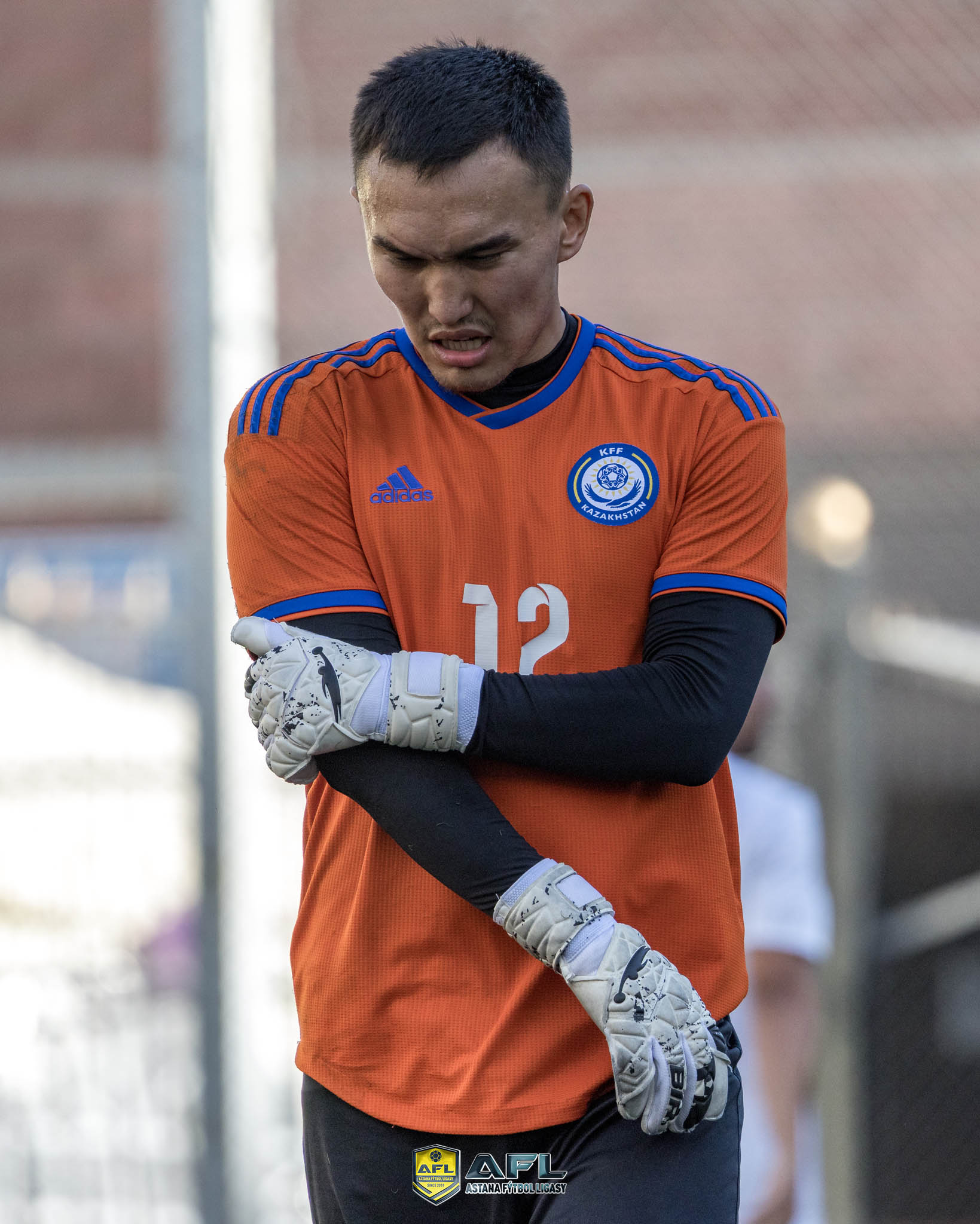 IMG 6265