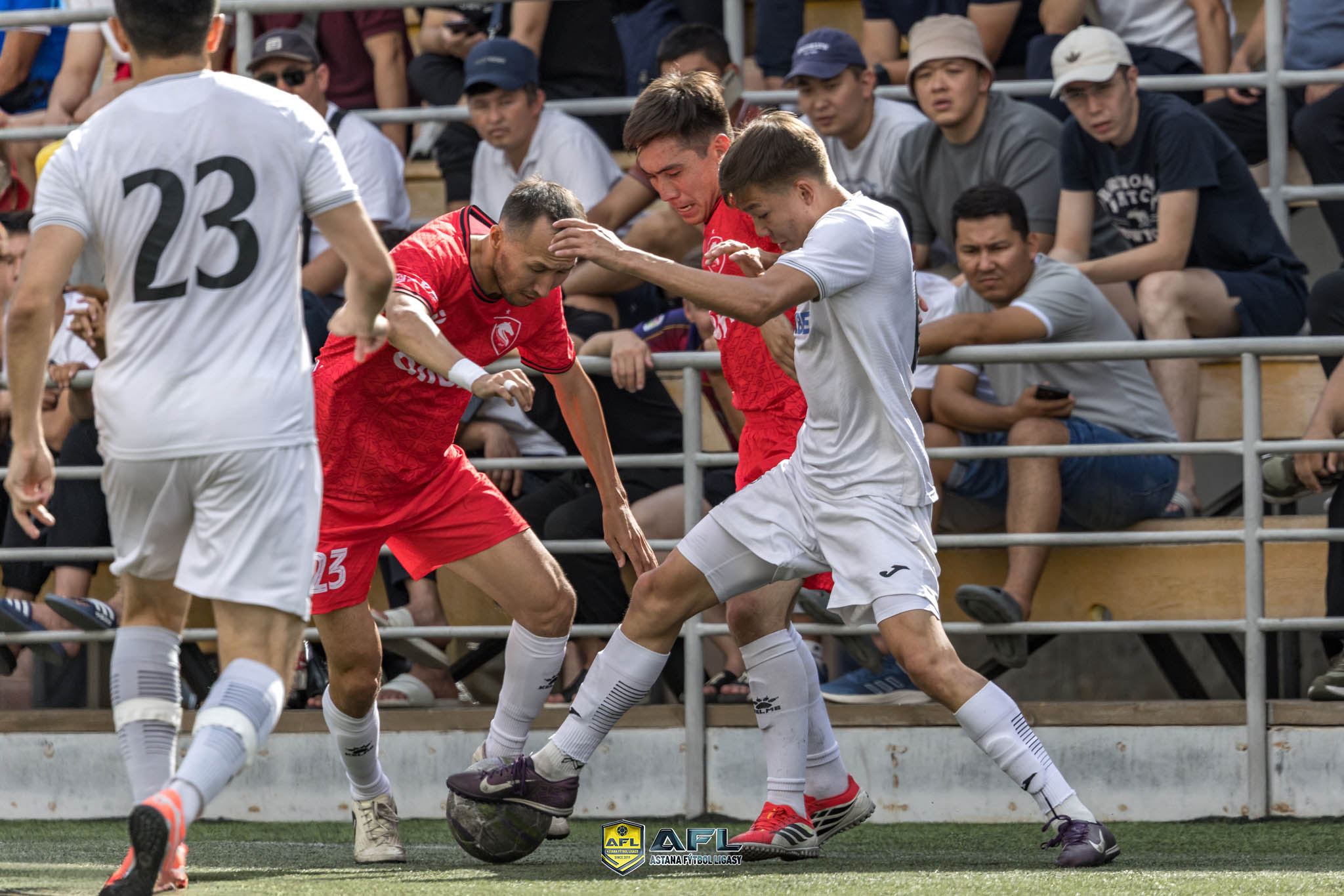 IMG 9949